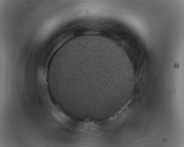 X0000101690146200808071143