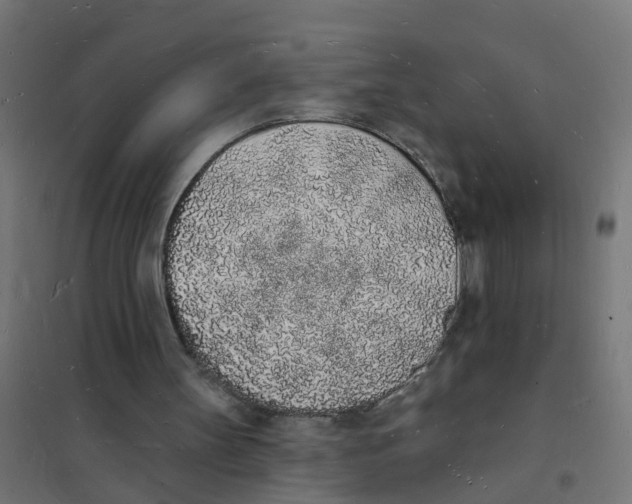 X0000101690147200808071143