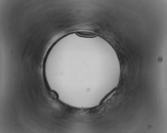 X0000101690148200808071143