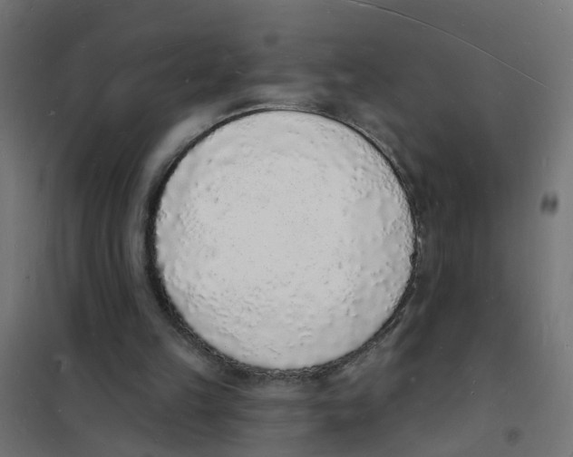 X0000101690149200808071143