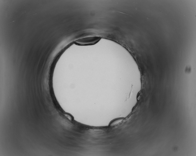 X0000101690150200808071143