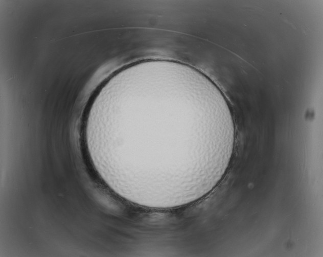 X0000101690151200808071143