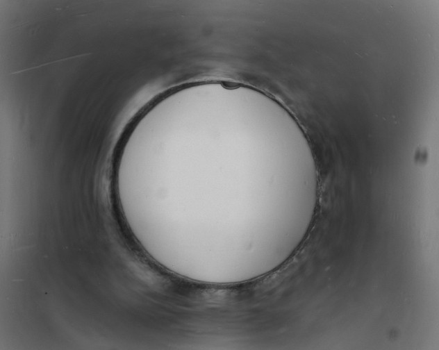 X0000101690152200808071143