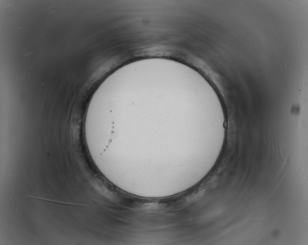 X0000101690153200808071143