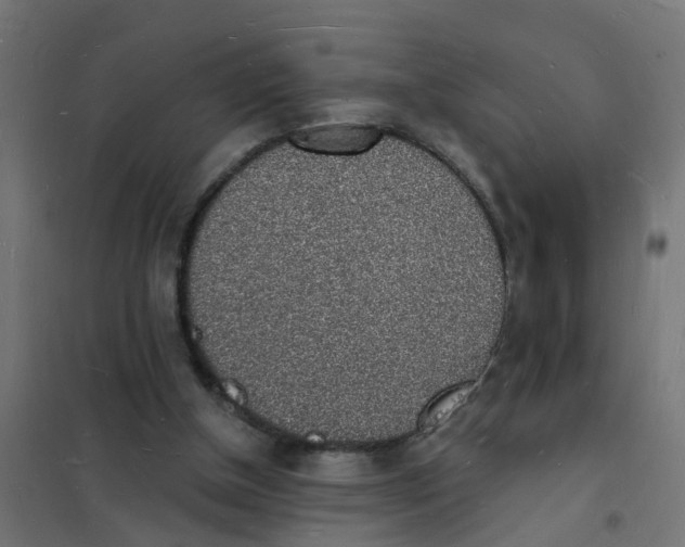 X0000101690154200808071143