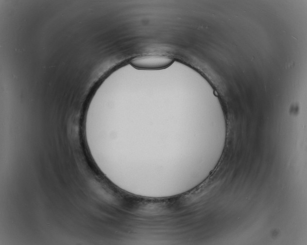 X0000101690155200808071143