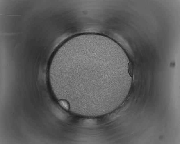 X0000101690156200808071143