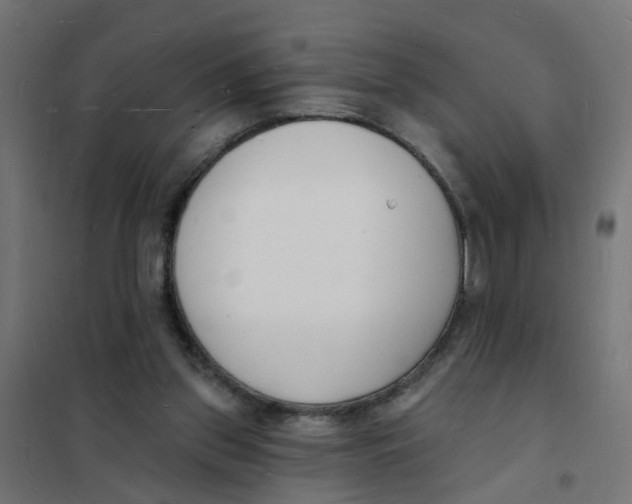 X0000101690157200808071143