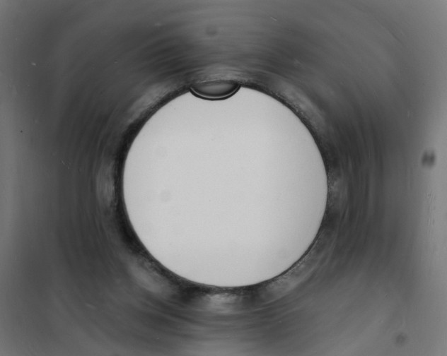 X0000101690158200808071143