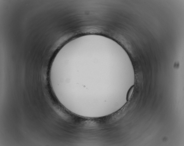 X0000101690159200808071143