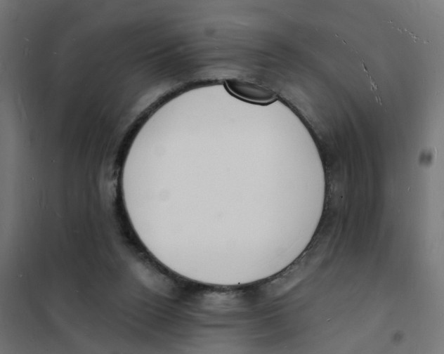 X0000101690160200808071143