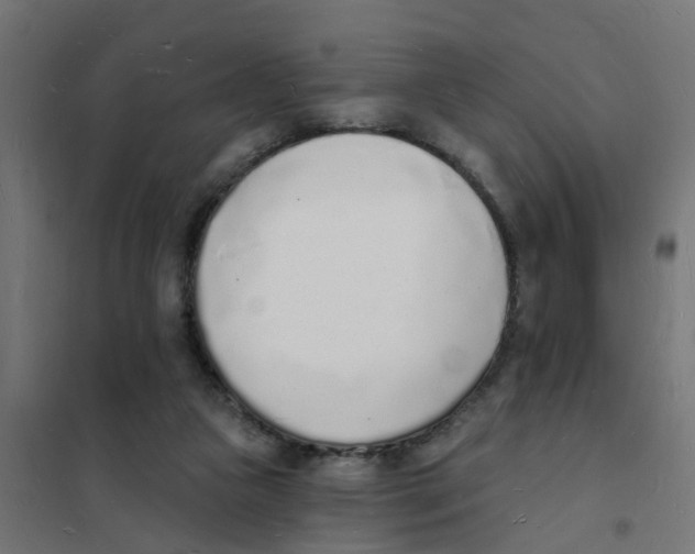 X0000101690161200808071143