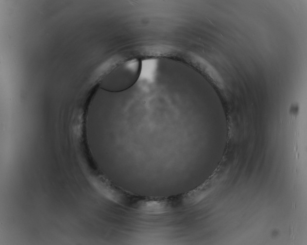 X0000101690163200808071143