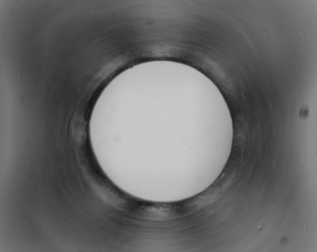 X0000101690164200808071143