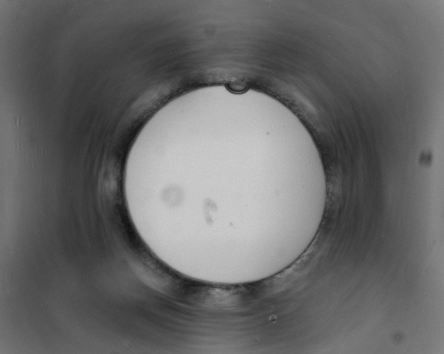 X0000101690166200808071143