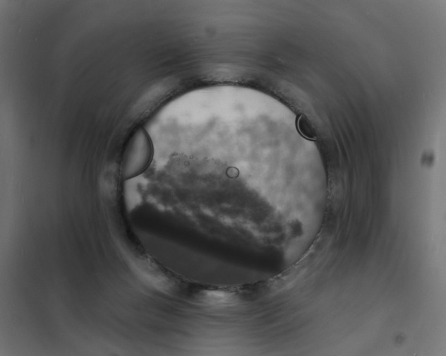 X0000101690167200808071143