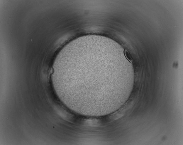 X0000101690168200808071143