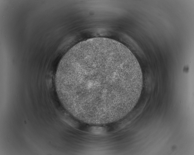 X0000101690169200808071143