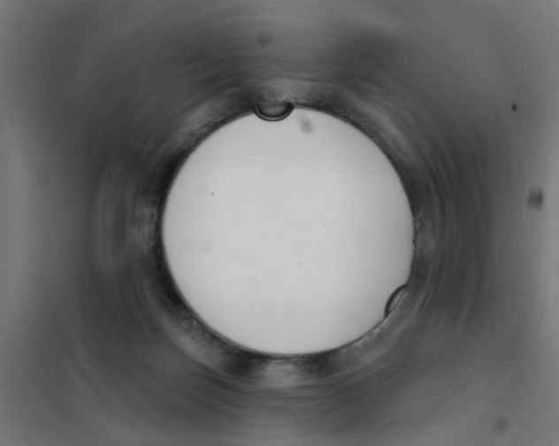 X0000101690171200808071143