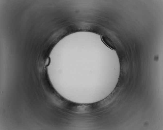 X0000101690172200808071143