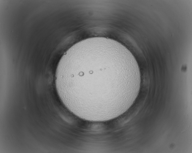 X0000101690173200808071143