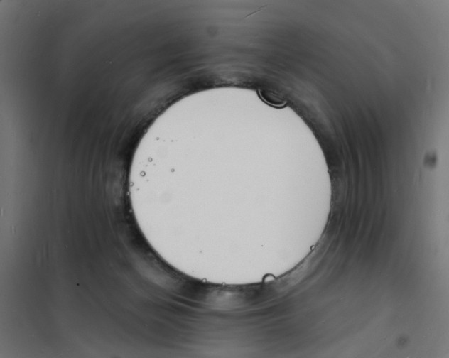 X0000101690174200808071143