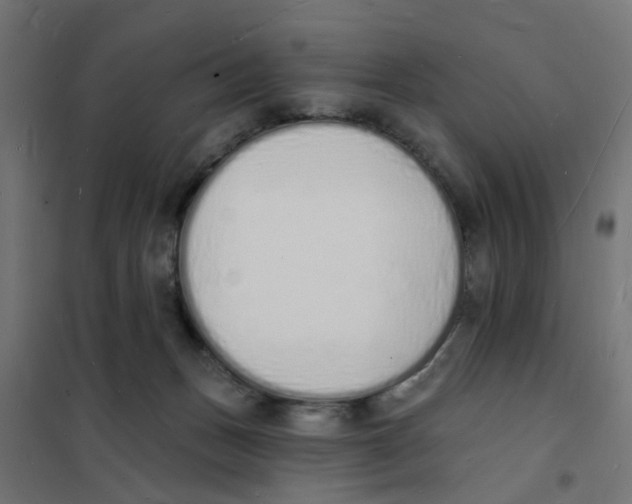 X0000101690175200808071143