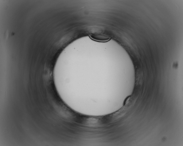 X0000101690176200808071143