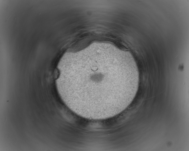 X0000101690177200808071143