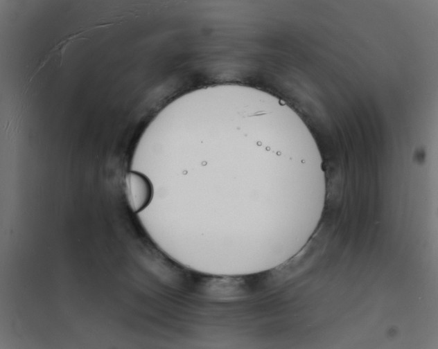 X0000101690179200808071143