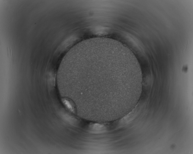 X0000101690180200808071143