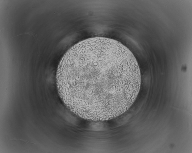 X0000101690181200808071143