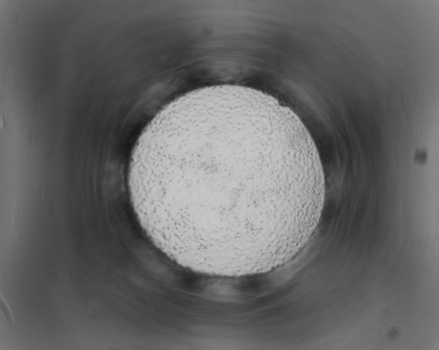 X0000101690182200808071143