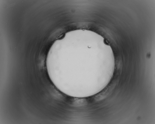 X0000101690185200808071143