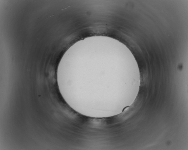 X0000101690187200808071143