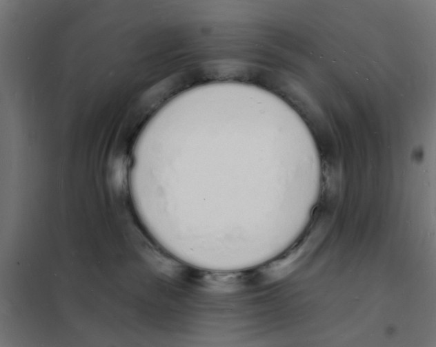 X0000101690189200808071143