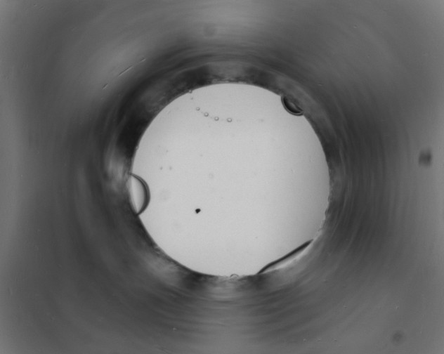 X0000101690191200808071143