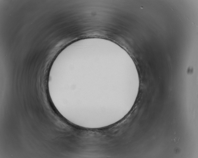 X0000101690193200808071143