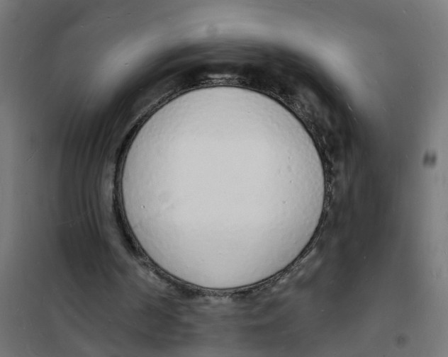 X0000101690194200808071143