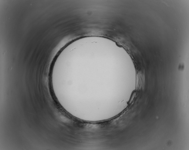 X0000101690195200808071143