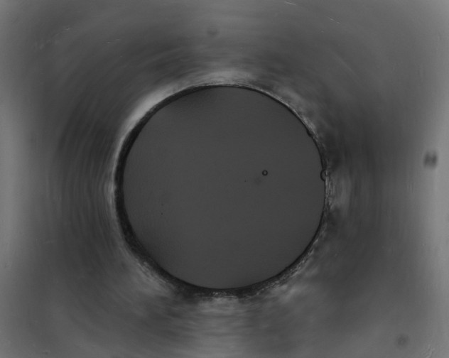 X0000101690196200808071143