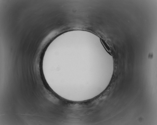 X0000101690197200808071143