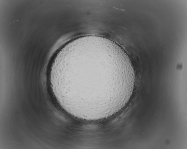 X0000101690198200808071143