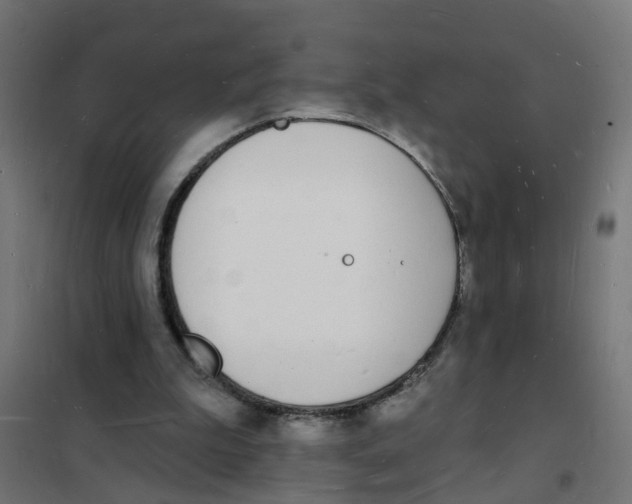 X0000101690199200808071143