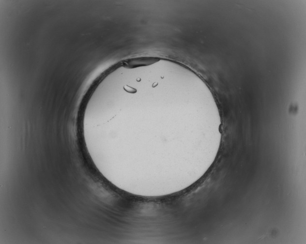 X0000101690200200808071142