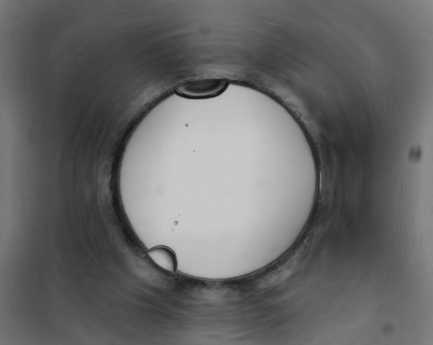 X0000101690201200808071142