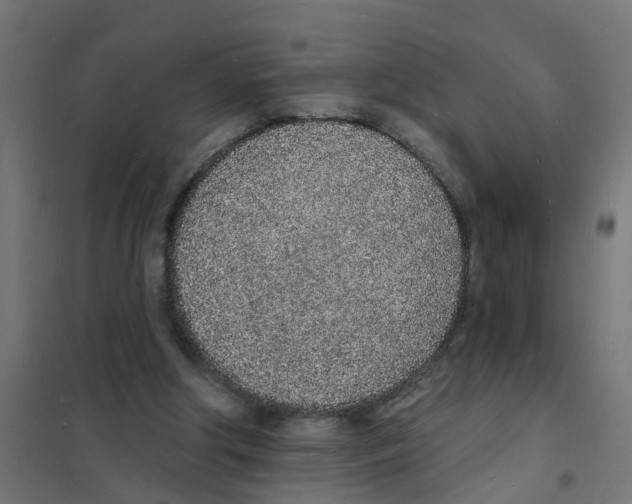 X0000101690202200808071142