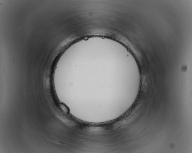 X0000101690203200808071142