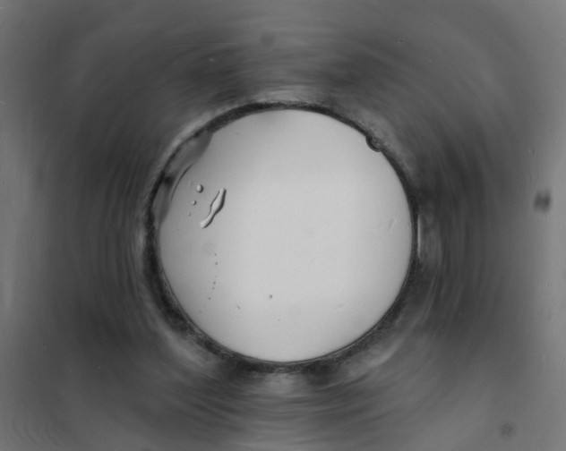 X0000101690204200808071142