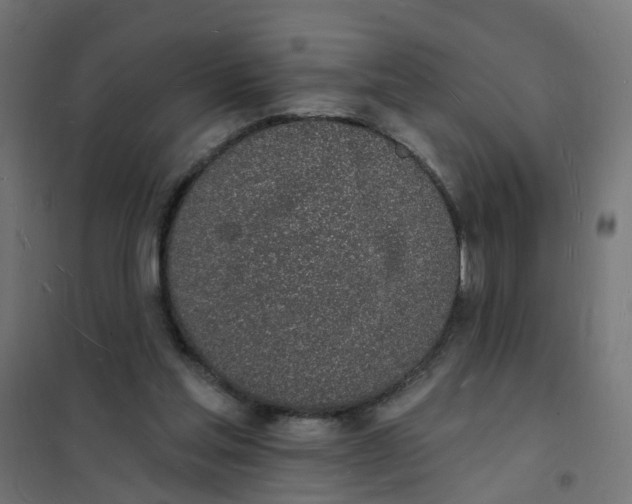 X0000101690205200808071142